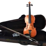 Standard Violin Outfit