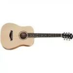 Semi Acoustic Guitar