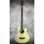 Semi Acoustic Bass Guitar best in kenya
