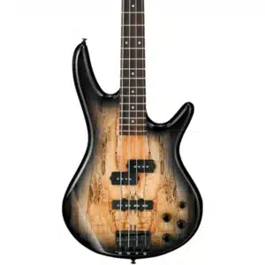 Ibanez fretless bass guitar Kenya