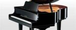 Yamaha GB1K