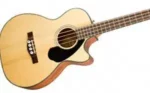 Semi Accoustic Bass Guitar2