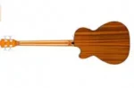Acoustic Bass Guitar