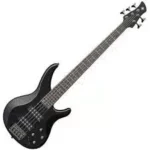 5 Strings Bass Guitar