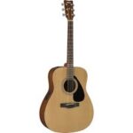 FX 310 Guitar