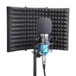 Mic Isolation