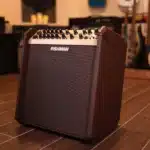 Fishman acoustic amplifier Kenya