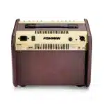 Fishman amplifier Kenya