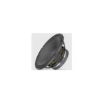 RCF 12-inch midrange speaker Kenya