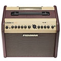 Fishman Loudbox