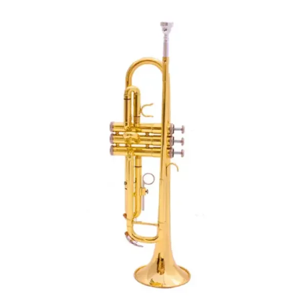 Generic Professional Trumpet