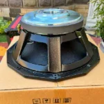 BM PD18 Naked Speaker 1