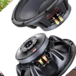 NR 12-inch driver