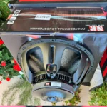 concert speaker