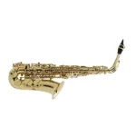 professional alto sax