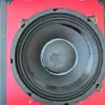 NR 10WF335 naked speaker