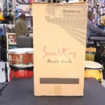 Soundking DF013B features