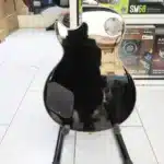 Full-bodied sound