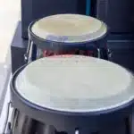 professional conga drums