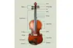 violin instrument anatomy