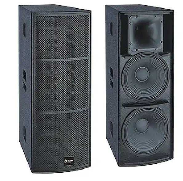 Thunder Sound TS 225