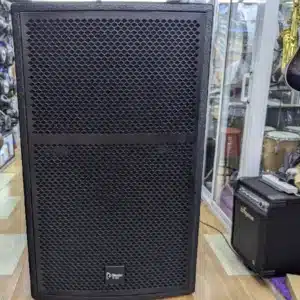 Best passive PA system speakers Kenya