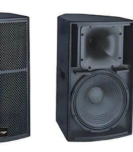 12-inch loudspeaker