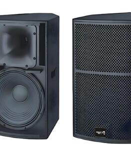 Professional sound speaker
