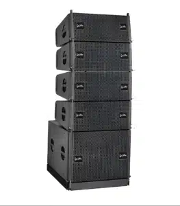 Dual 12 line array speaker