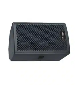 Professional audio speaker