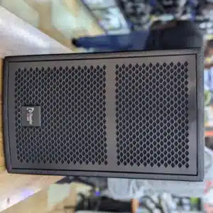 Thunder Sound TS 110 speaker Kenya durable construction