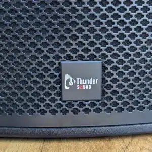 Thunder Sound TS 110 speaker Kenya powerful amplifier