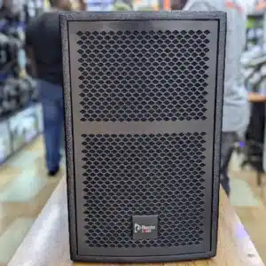 Thunder Sound TS 110 speaker Nairobi easy transport (1)