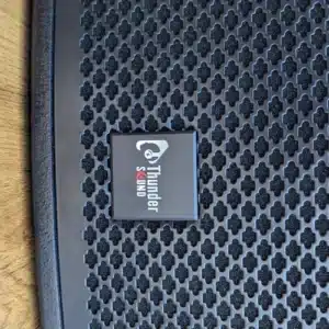 Thunder Sound TS 110 speaker Nairobi professional audio