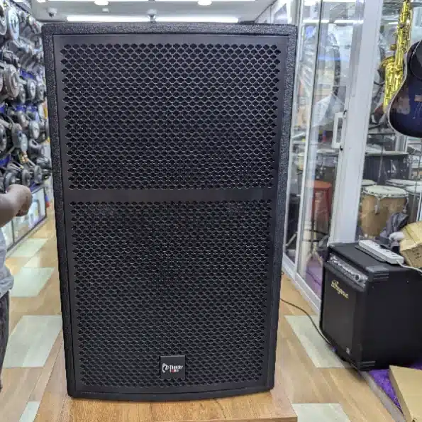 Thunder Sound TS115
