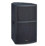 Thunder Sound TS1 12 Two-way full-Range Loudspeaker
