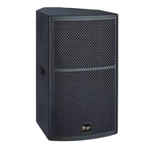 TS1 12 loudspeaker