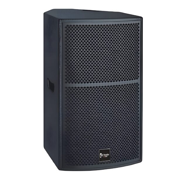 TS1 12 loudspeaker