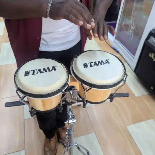 Bongo Drums