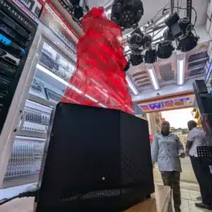 LED flame display light Kenya