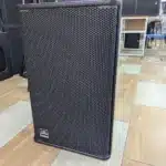dual woofer PA speaker