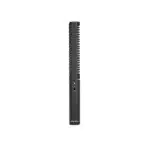 NTG1 boom pole mic