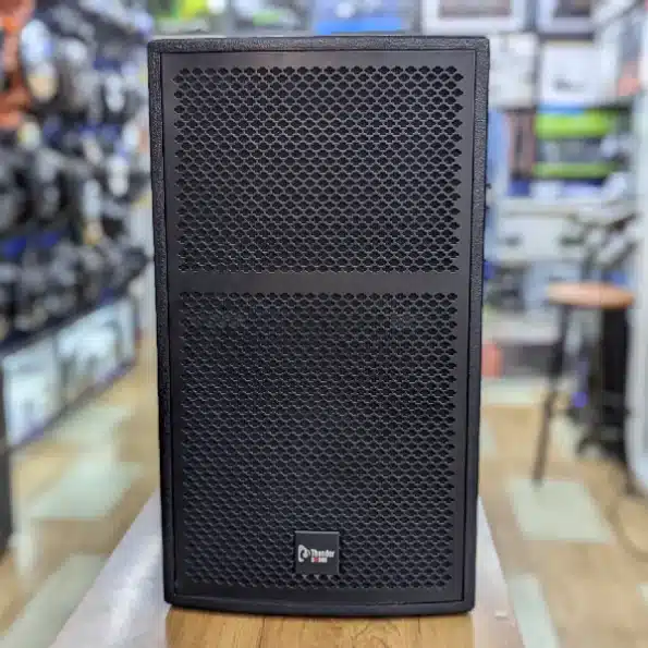 Thunder Sound TS 112