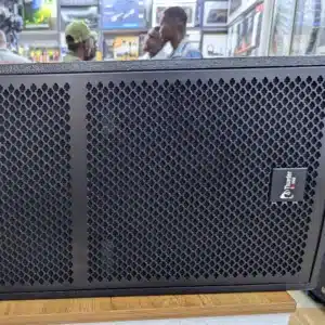 Thunder Sound TS 112 Speaker Kenya