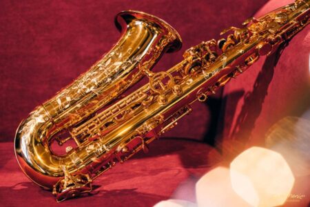 Henri Selmer Alto Saxophone